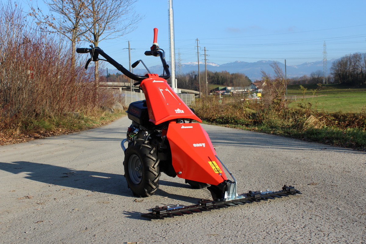 Kleiner Motormäher Typ Ibis